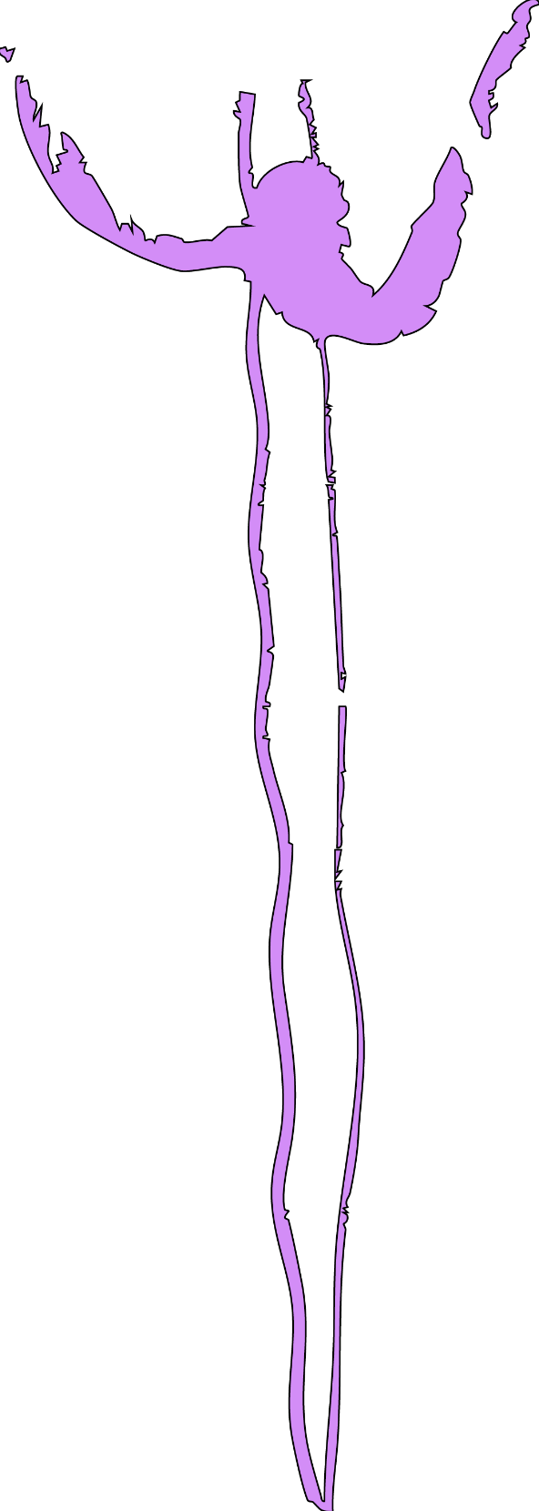 Dekorativní element
